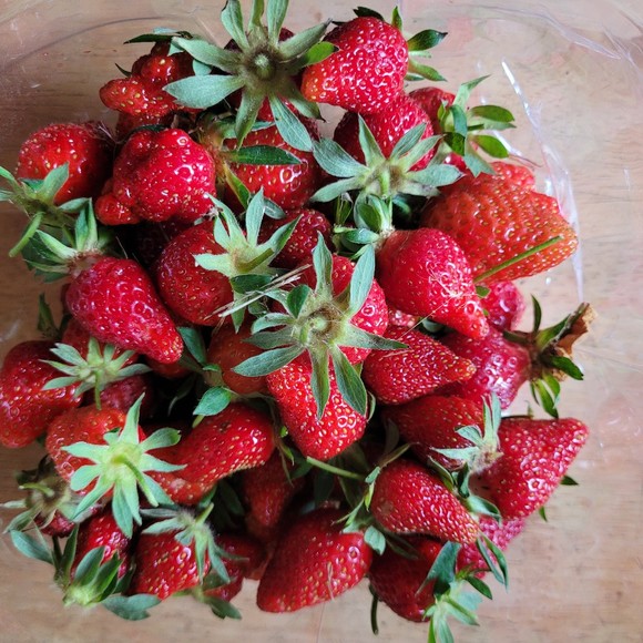 Meet your Posher, Farmer - Picture 1 of 1